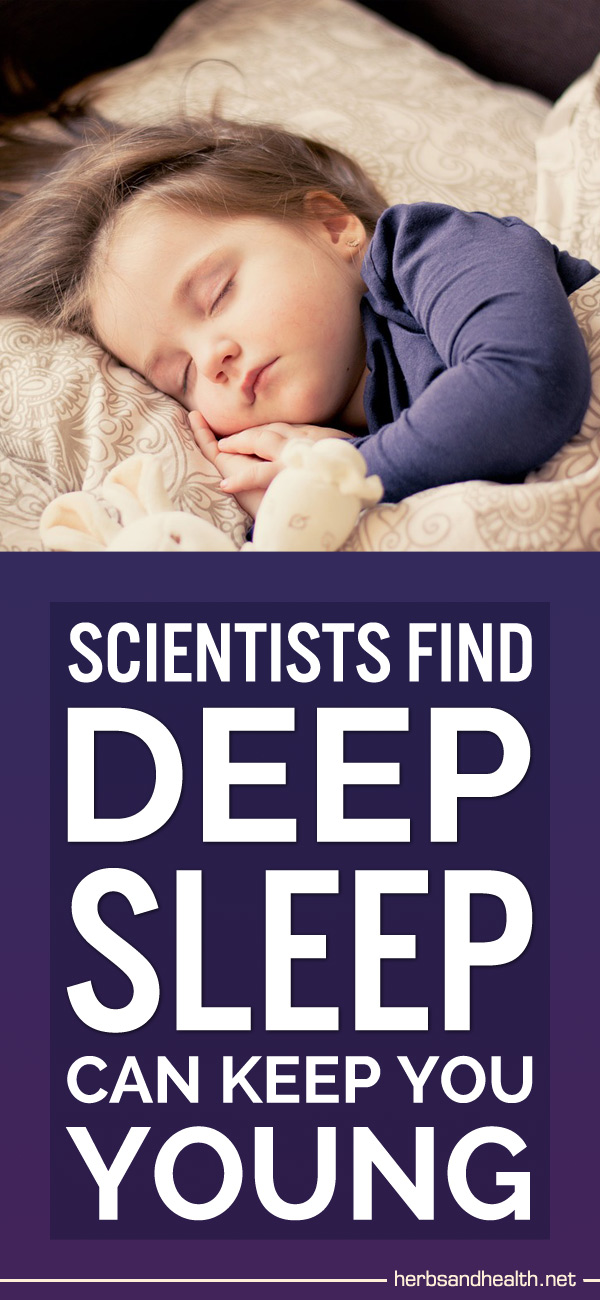 Scientists Find Deep Sleep Can Keep You Young