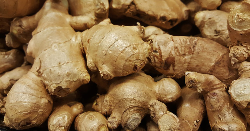 Scientists Find Ginger Fights Obesity