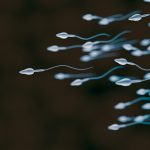 Sperm Counts Have Dropped More Than 50 Percent In Western Countries