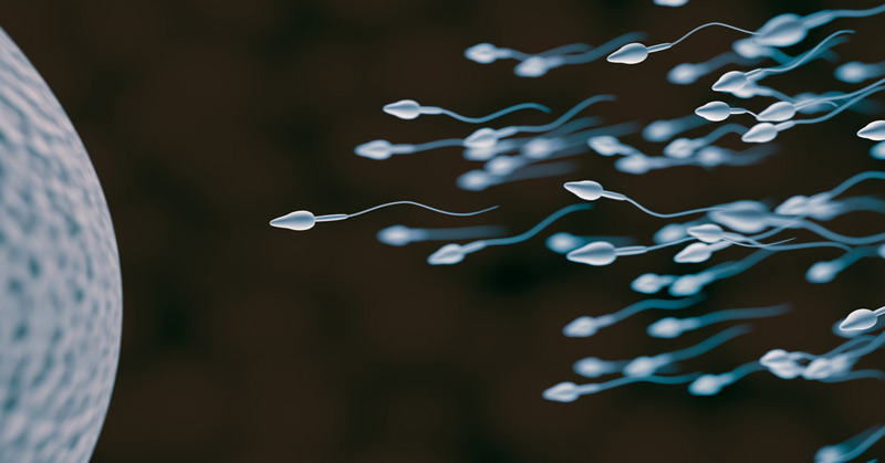 Sperm Counts Have Dropped More Than 50 Percent In Western Countries