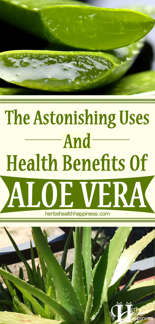 The Astonishing Uses And Health Benefits Of Aloe Vera
