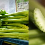 This Is What Happens When You Drink Celery Juice For One Month
