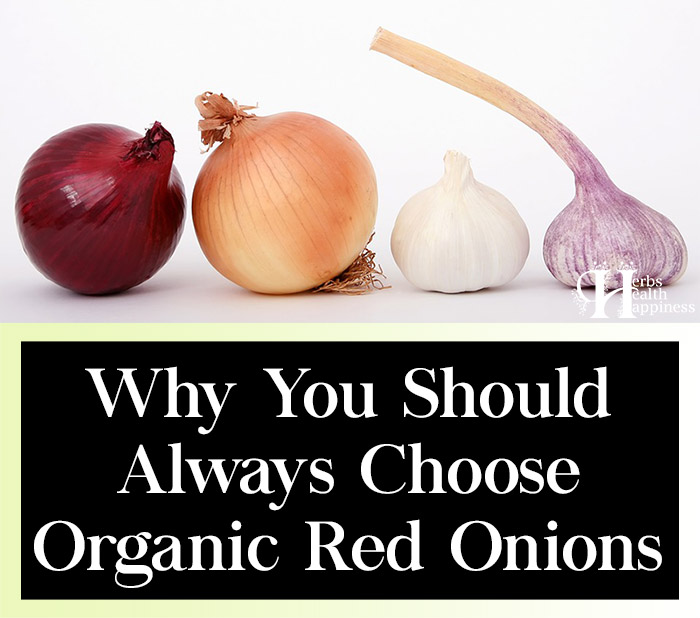 Why You Should Always Choose Organic Red Onions