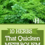 10 Herbs That Quicken Metabolism