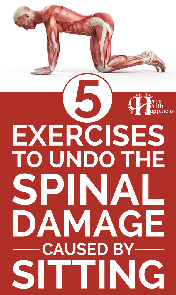 5 Exercises to Undo the Spinal Damage Caused by Sitting
