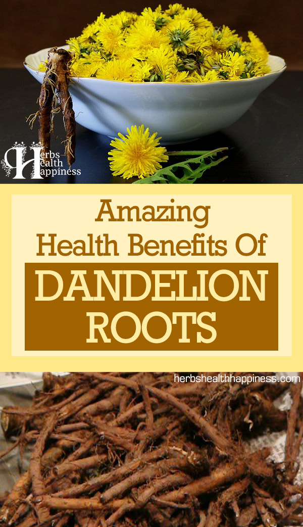 Amazing Health Benefits Of Dandelion Root