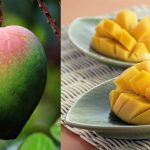 Mangoes Might Be The Ultimate Superfood For Diabetes: New Science Finds They Control Both Blood Sugar And Blood Pressure