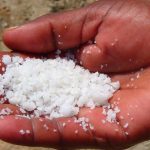 Should We Be Buying Iodized Salt?
