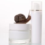 Snail Slime Skin Creams Becoming Popular In The United States