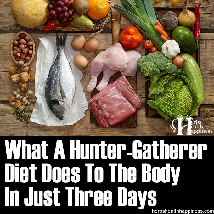 What A Hunter-Gatherer Diet Does To The Body In Just Three Days
