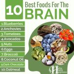 Top 10 Best Foods For The Brain