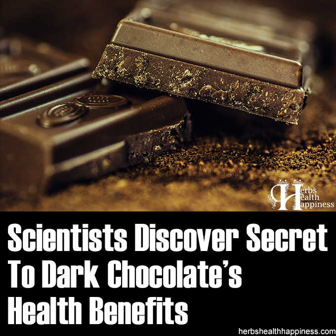 Chemists Discover Secret To Dark Chocolate's Health Benefits