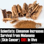 Cinnamon Increases Survival From Melanoma (Skin Cancer) 130% In Vivo