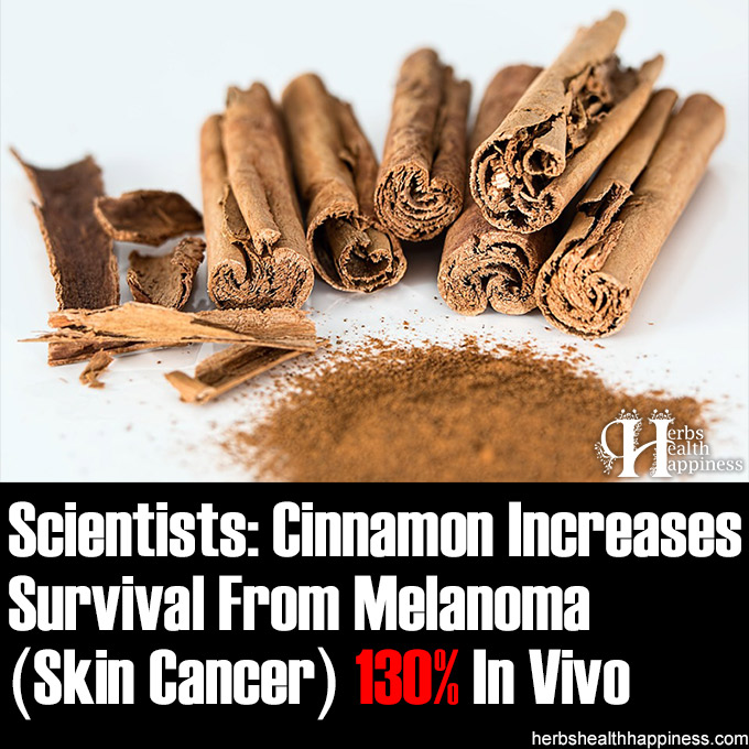 Cinnamon Increases Survival From Melanoma 130 In Vivo