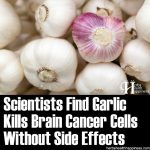 Garlic Kills Brain Cancer Cells Without Side Effects
