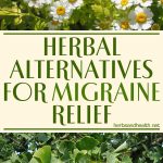 Herbal Alternatives For Migraine Relief