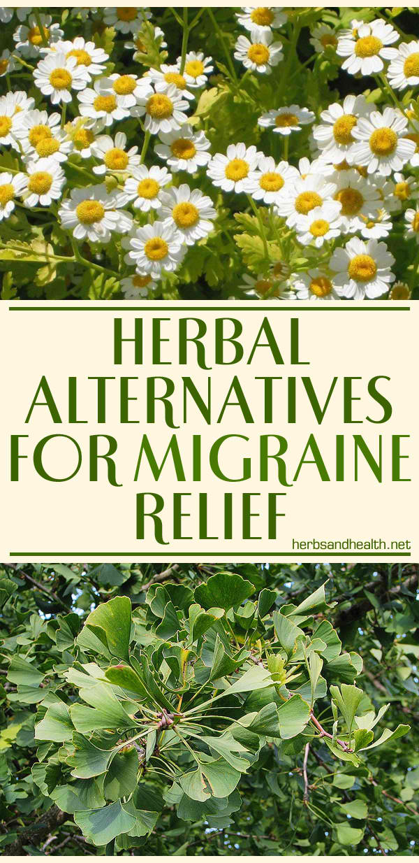 Herbal Alternatives For Migraine Relief