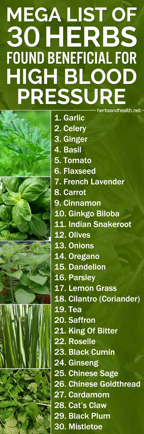 Herbs Health And Happiness Mega List Of 30 Herbs Found Beneficial For