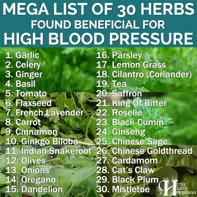 Mega List of 30 Herbs Found Beneficial For High Blood Pressure