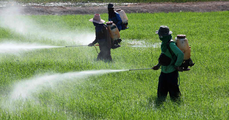 New U.N. Report Estimates Pesticides Kill 200,000 People Per Year