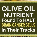 Olive Oil Nutrient Found To HALT Brain Cancer Cells In Their Tracks