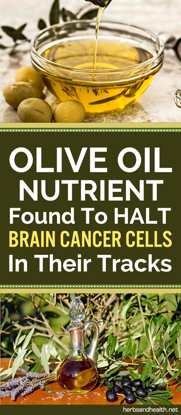 Olive Oil Nutrient Found To HALT Brain Cancer Cells In Their Tracks