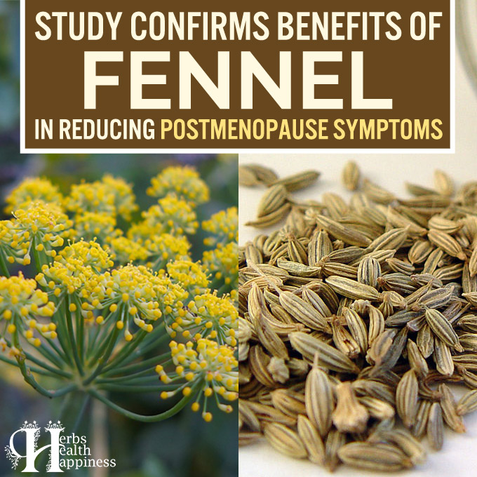 Study Confirms Benefits of Fennel in Reducing Postmenopause Symptoms