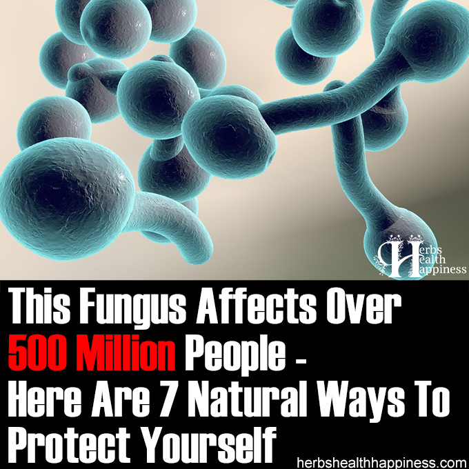 This Fungus Affects Over 500 Million People - How To Protect Yourself