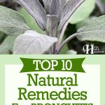 Top 10 Natural Remedies For Bronchitis