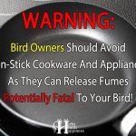 WARNING: Non-Stick Cookware Releases Fumes That Can Kill Pet Birds