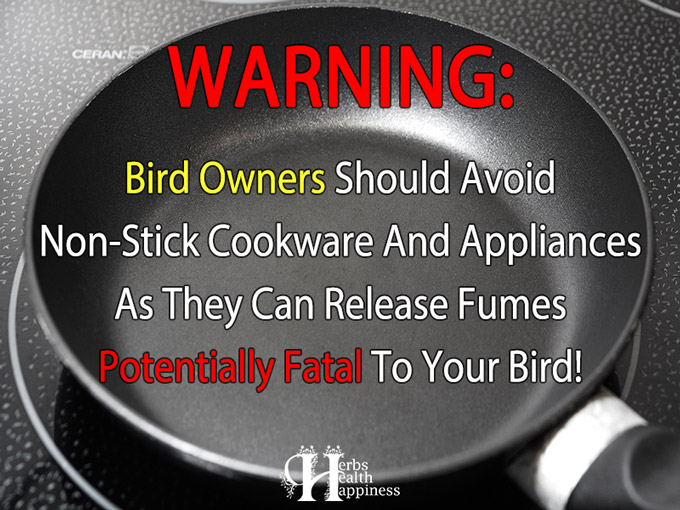 WARNING - Non Stick Cookware Releases Fumes That Can Kill Pet Birds