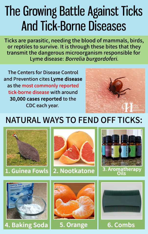 The Growing Battle Against Ticks And Tick-Borne Diseases