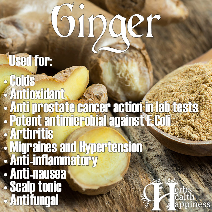 Uses And Benefits Of Ginger