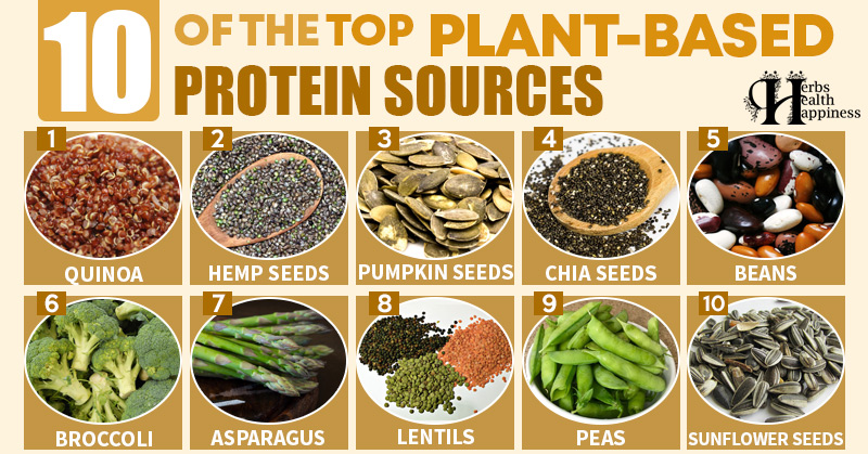 10 Of The Top Plant Based Protein Sources Herbs Health And Happiness 0408