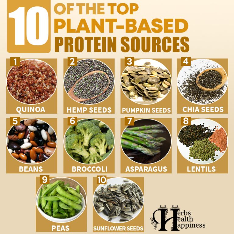 Herbs Health & Happiness 10 Of The Top Plant-Based Protein Sources ...