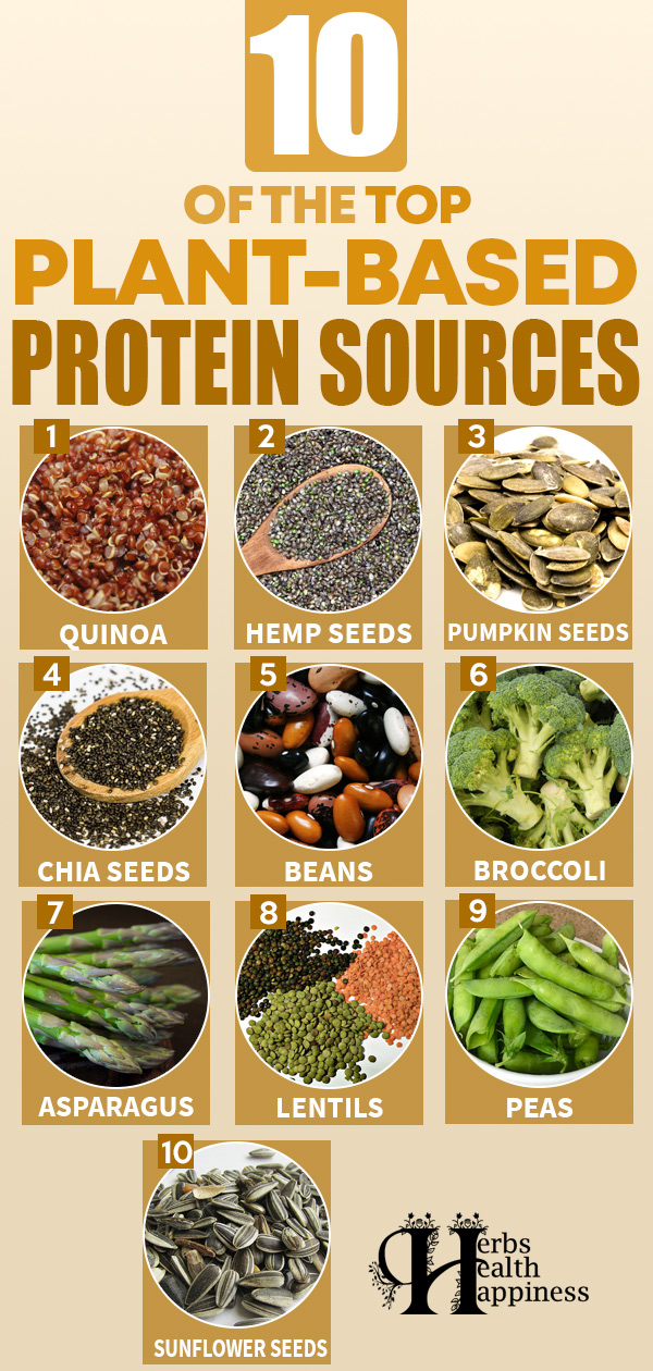 10 Of The Top Plant-Based Protein Sources