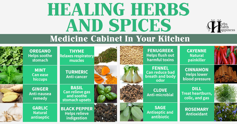 16 Healing Herbs and Spices - Herbs Health & Happiness