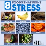 8 Foods That Fight Stress