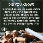 Cigarette Butts Are The Most Polluting Items In The World