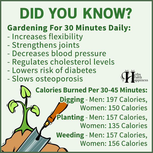 Gardening For 30 Minutes Daily