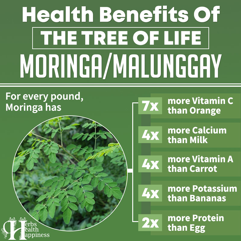 Health Benefits of Moringa