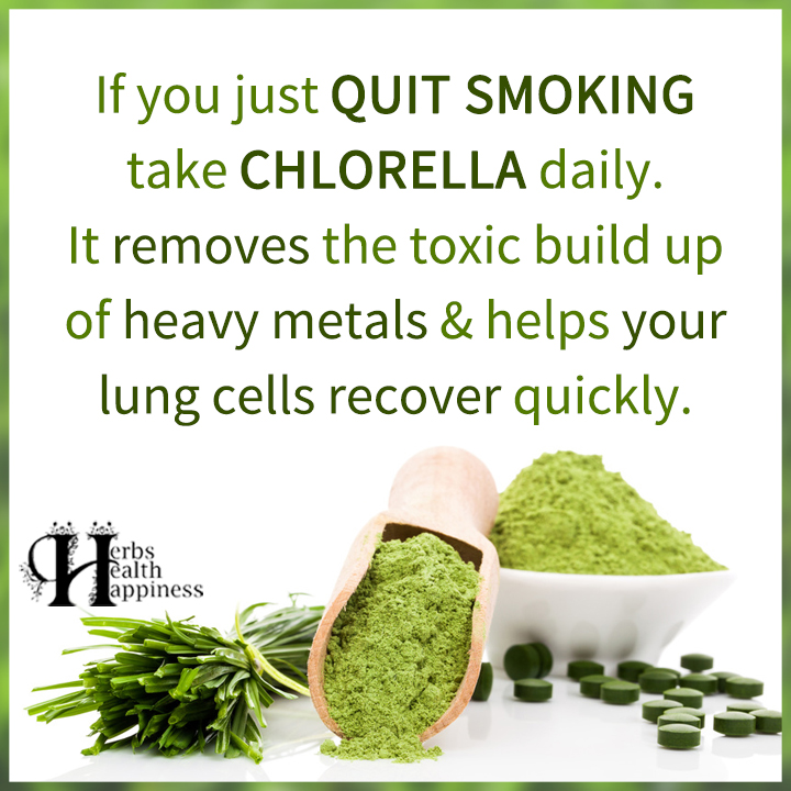 If You Just Quit Smoking Take Chlorella Daily