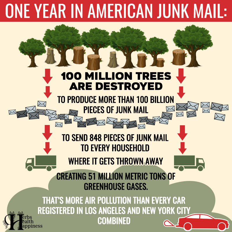 One Year In American Junk Mail
