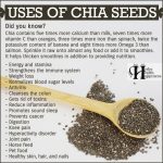 Uses Of Chia Seeds
