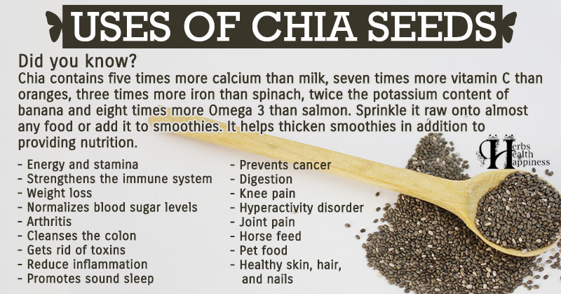 Uses Of Chia Seeds - Herbs Health & Happiness