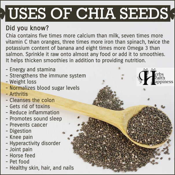 Herbs Health & Happiness Uses Of Chia Seeds - Herbs Health & Happiness