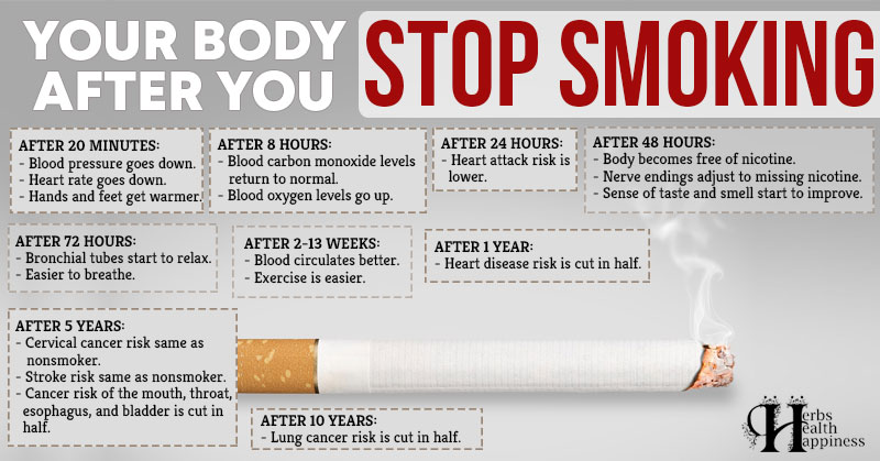 Your Body After You Stop Smoking - Herbs Health & Happiness