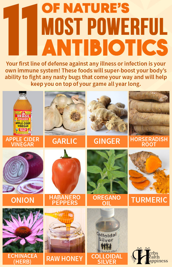 11 Nature's Most Powerful Antibiotics