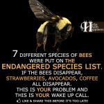 7 Different Species Of Bees Were Put On The Endangered Species List