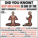 Deep Breathing Is One Of The Body’s Strongest Self-Healing Mechanisms